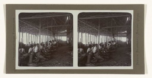 Processing sugarcane stalks in a central hall by Javanese workers.