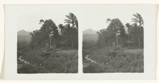 Landscape with a small stream