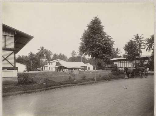 Contract workers on a coffee plantation in Sumatra