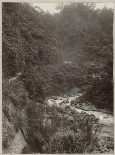 River through the Anaikloof in Sumatra