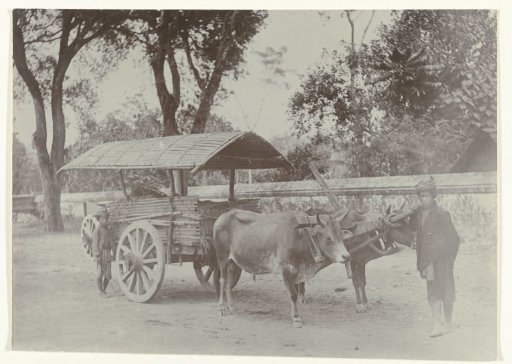 Two Javanese Boys with an Ox Cart Carrying Goods