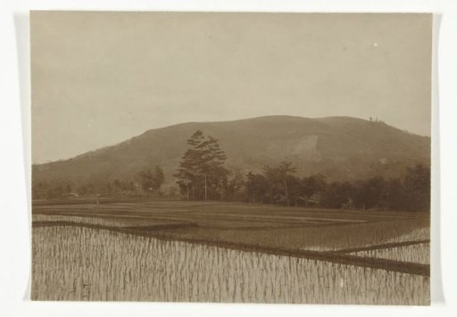 Landscape with sawah, former Dutch East Indies