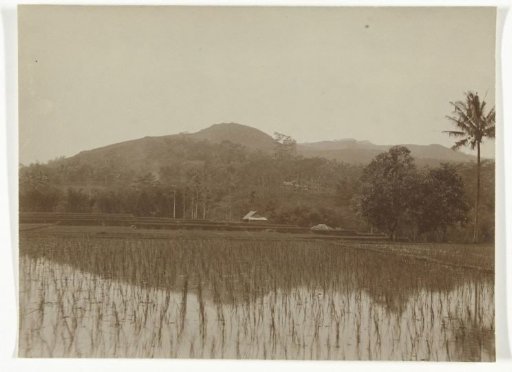 Landscape with sawah, former Dutch East Indies
