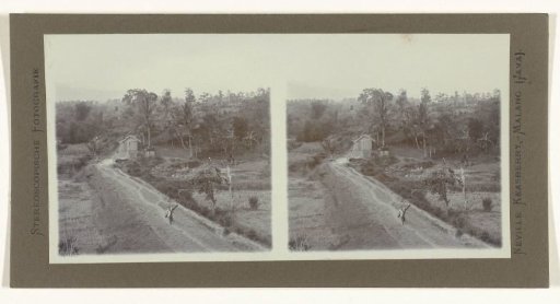 Landscape with palm trees and a street scene on Java