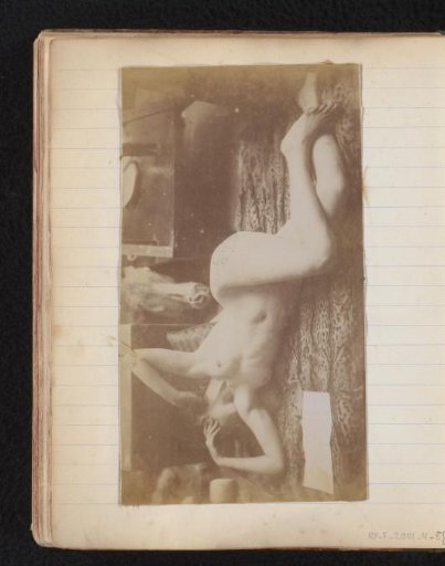 Studie van een vrouwelijk naaktmodel, liggend op een tijgervel, in het atelier van Jacques de Lalaing