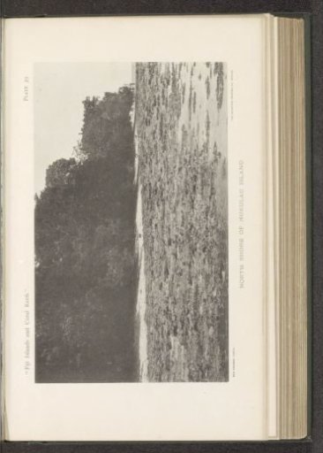 View of the coast of Nukulau