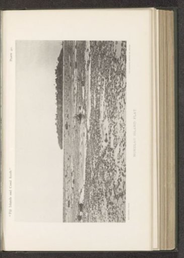 View of a coral reef off the coast of Nukulau
