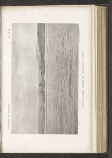 View of a coral reef near the Sigatokariver