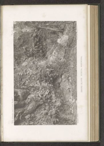 View of a cape at Rukua on Beqa