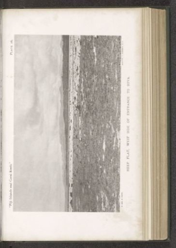 View of a coral reef at Suva