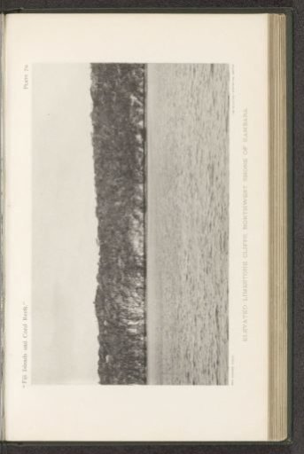 View of the cliffs of the northwest coast of Kabara