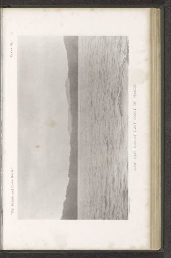 View of the Coast of Mango