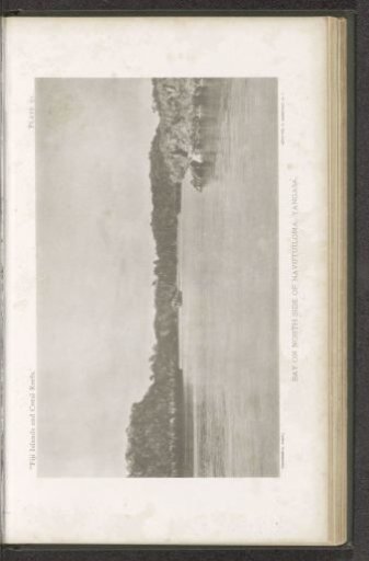 View of a Bay at Yangasa Levu