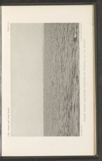 View of coral pebbles in the sea at Fiji