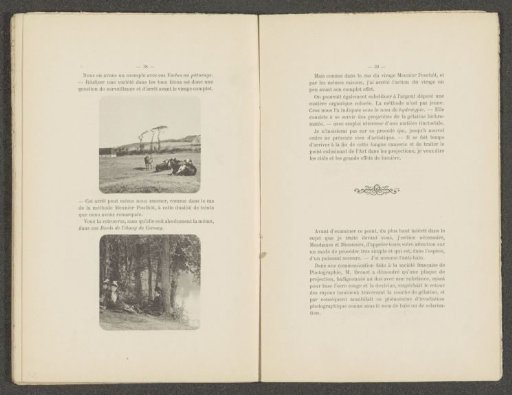 Cows in a Meadow and Three Women by a Shore