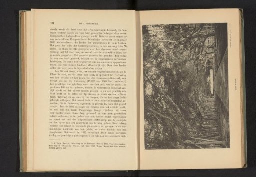 View of an avenue with Waringin trees in the Dutch East Indies