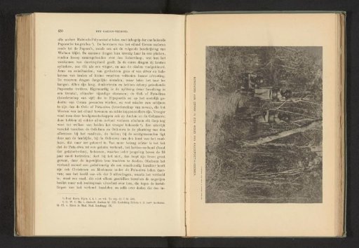 Three men from the island of Seram in a forest