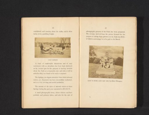 Goat Carriage
