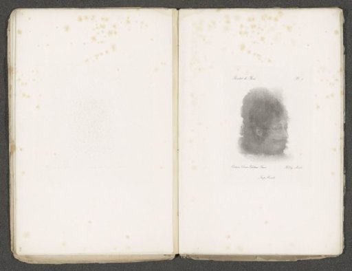 Photographic reproduction of a drawing, representing a portrait of an unknown man