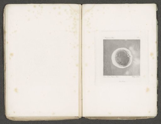 Coin with a halo of electric current