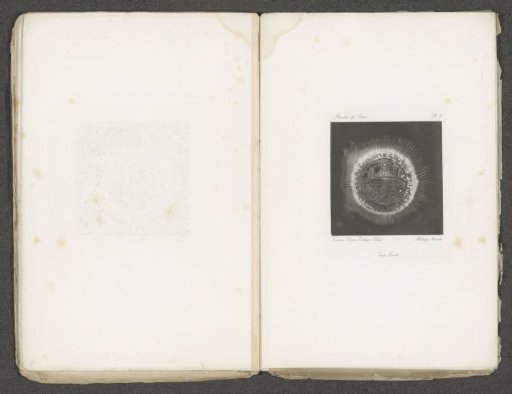 Coin with a halo of electric current
