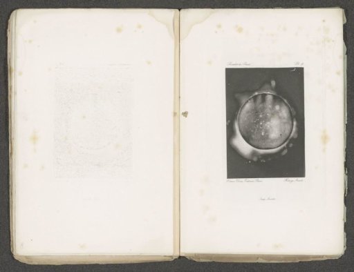 Coin with a portrait and a halo of electric current