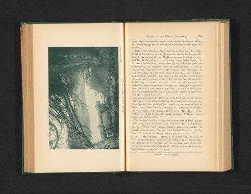 The big cedar, Bottle Pond