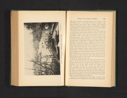 Forest instruction, caused by a state dam