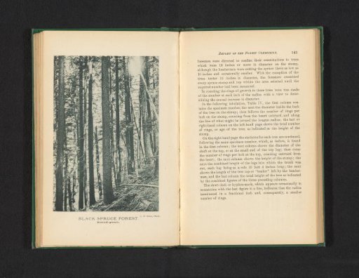 Black spruce forest
