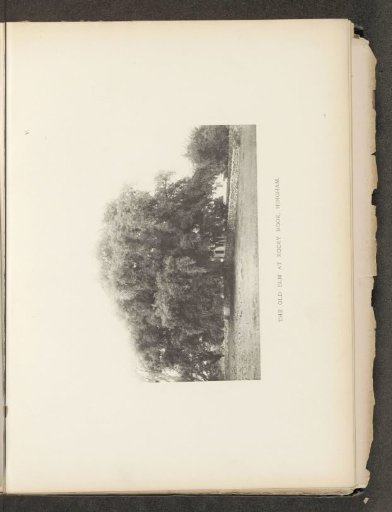 The old elm at Rocky Nook, Hingham