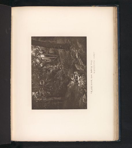 View of a Stream Near Sleepy Hollow