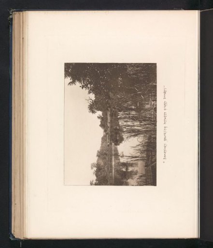 View of a Pond Near Sleepy Hollow