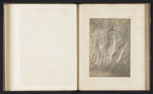 Footprints of a Brontozoum Minisculum