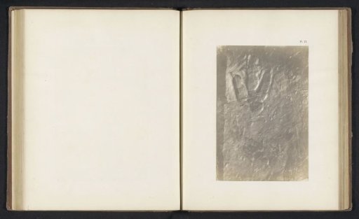 Footprints of the Hind Legs of a Reptile