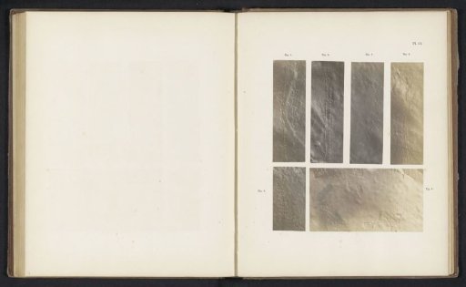 Footprints of six insects or crustaceans