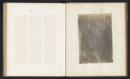 Track of (presumably) a fish-like creature