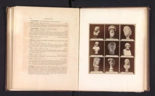 Nine casts of antique busts including Isis, Apollo, Ariadne and the Juno Ludovisi