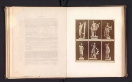 Six casts of antique sculptures of Apollo, Diana, and an Amazon, including the Apollo Belvedere and the Diana of Versailles