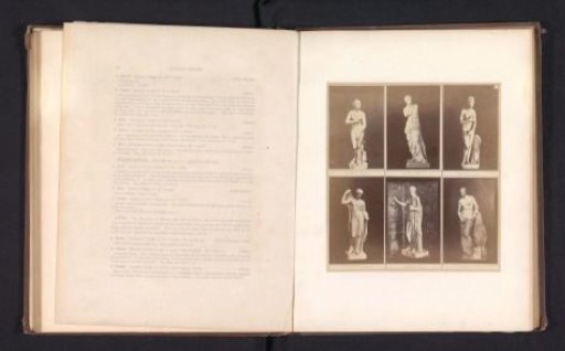 Six casts of antique sculptures of Venus, including the Venus de' Medici, the Capitoline Venus, and the Venus de Milo