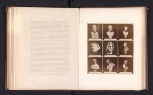 Nine casts of antique busts, including Dione, Zeus, Pallas Athena, and Psyche