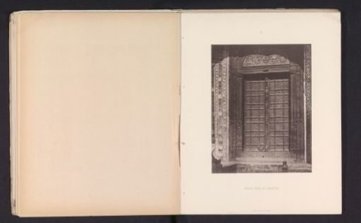 Brass door with plant and floral ornaments in Amritsar, Punjab, India