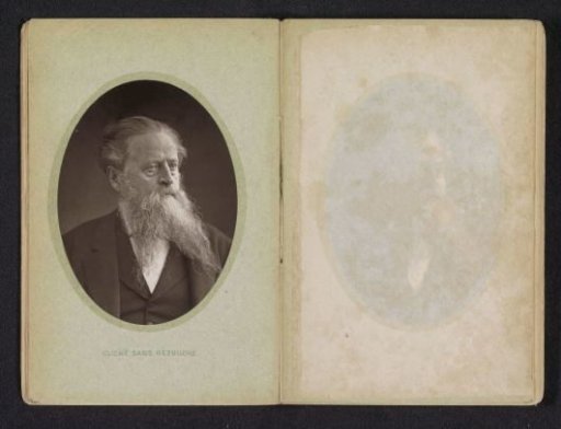 Portrait of an Unknown Man with a Beard