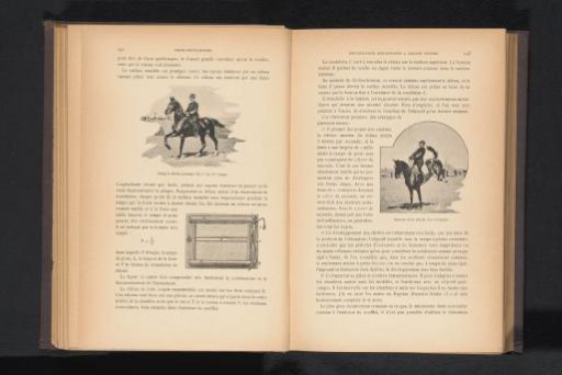 Man on a rearing horse