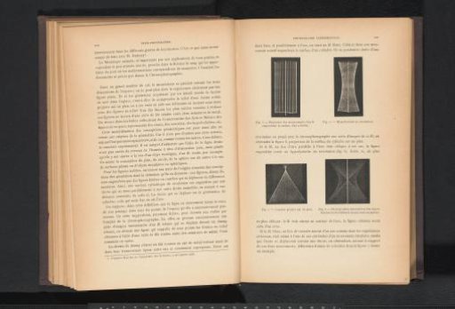 Four figures to illustrate chronophotography