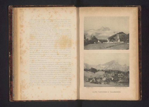 Plate with a view of the Valais Alps and the Alps in Vaud