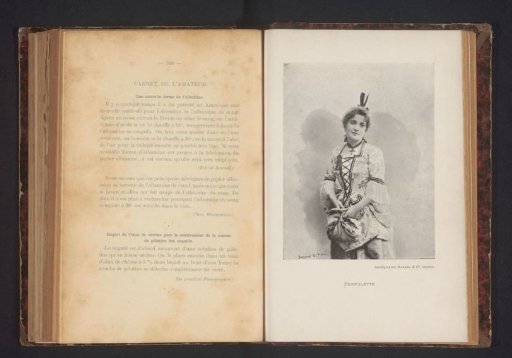 Portrait of an Unknown Young Woman