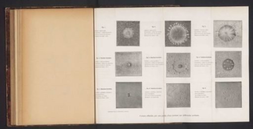 Fold-out page with nine images of a water drop on different surfaces