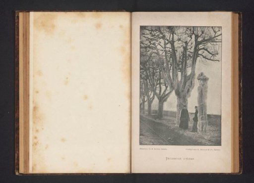 Man and a woman by a frozen tree and lamppost