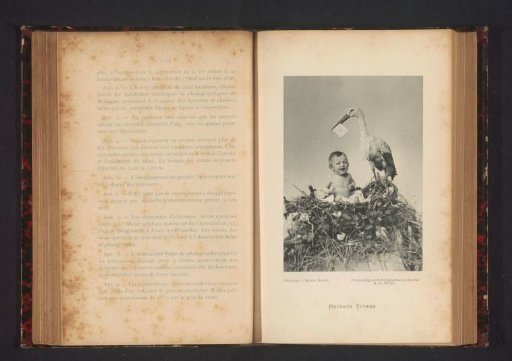 Child in a nest with a stork
