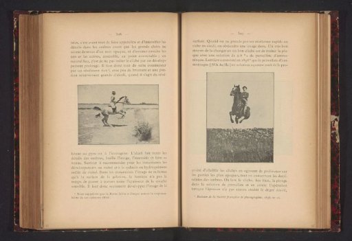 Horse and Rider